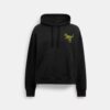 Bluza z kapturem Rexy