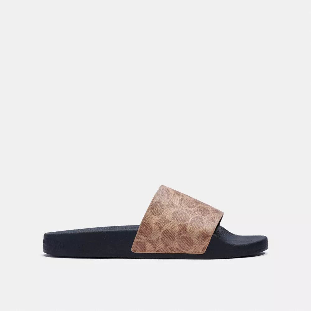 Klapki basenowe Signature Canvas