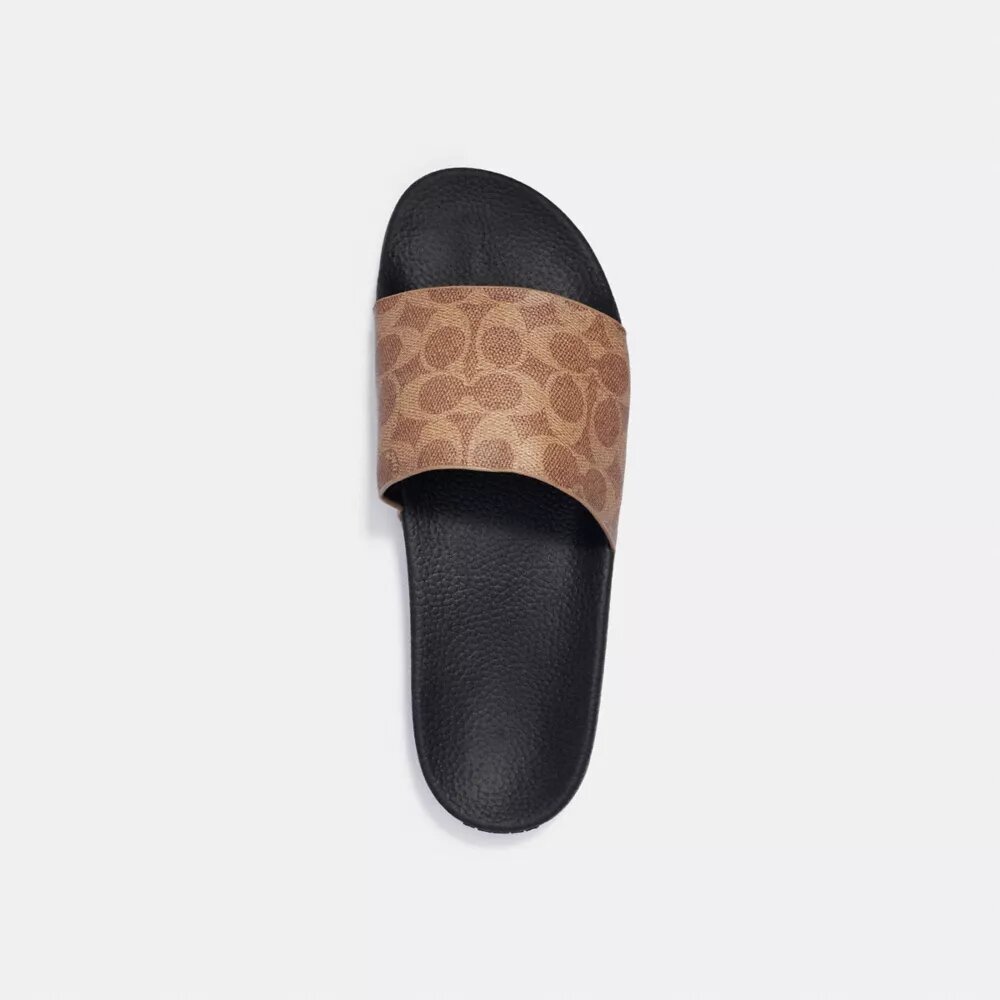 Klapki basenowe Signature Canvas