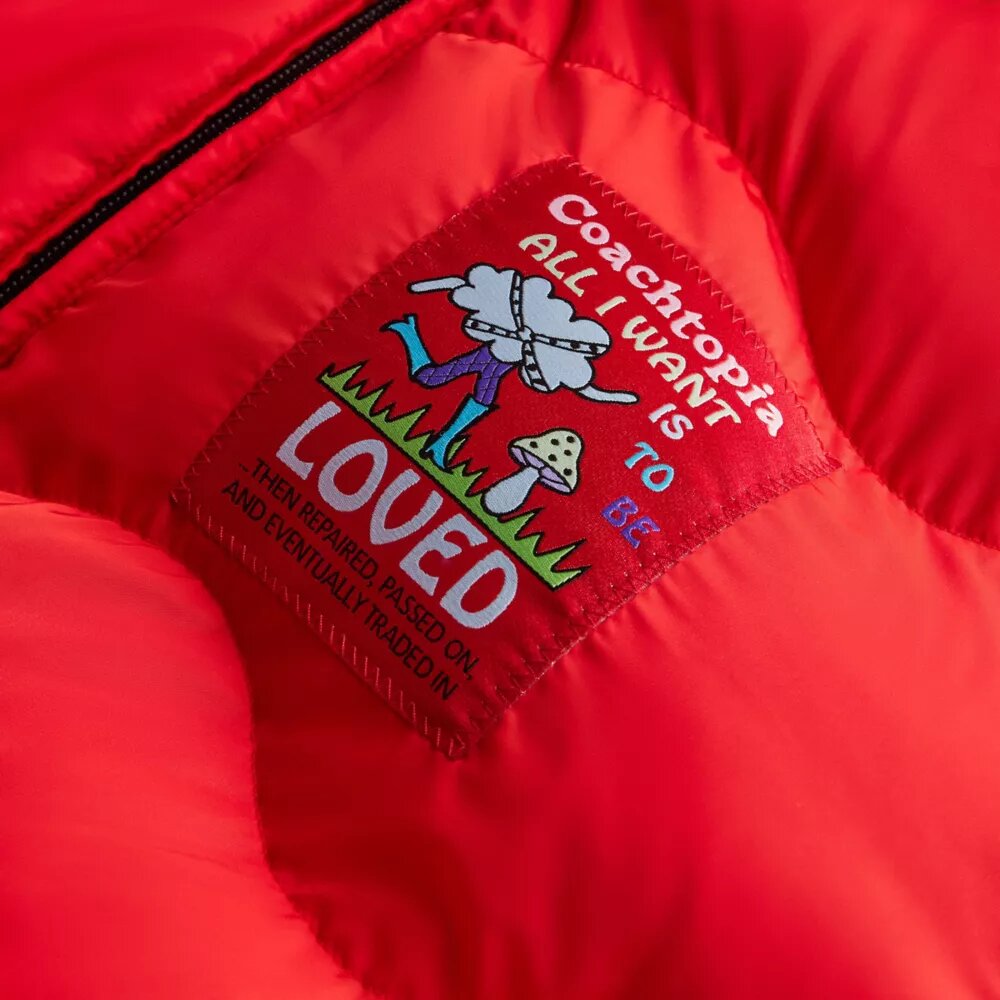 Kurtka puchowa Coachtopia Loop