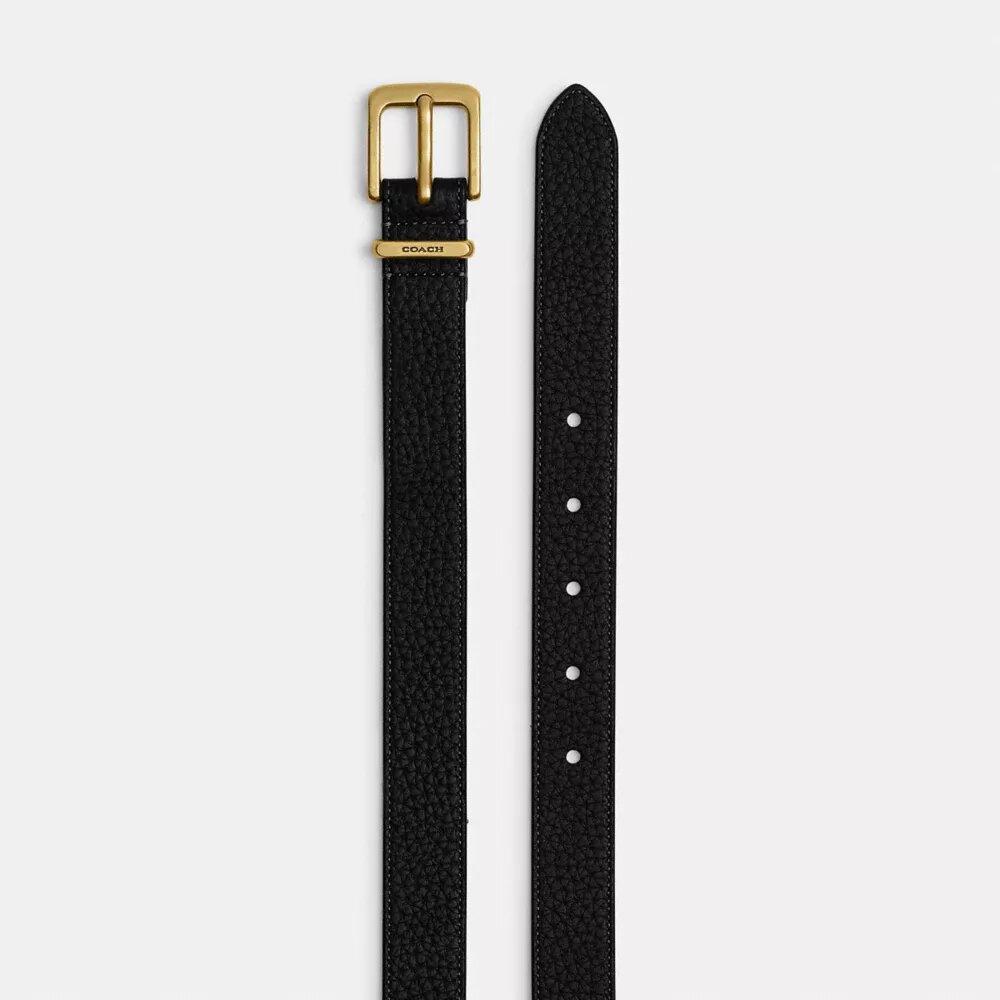 Pasek z klamrą typu „harness hasp”, 25 mm
