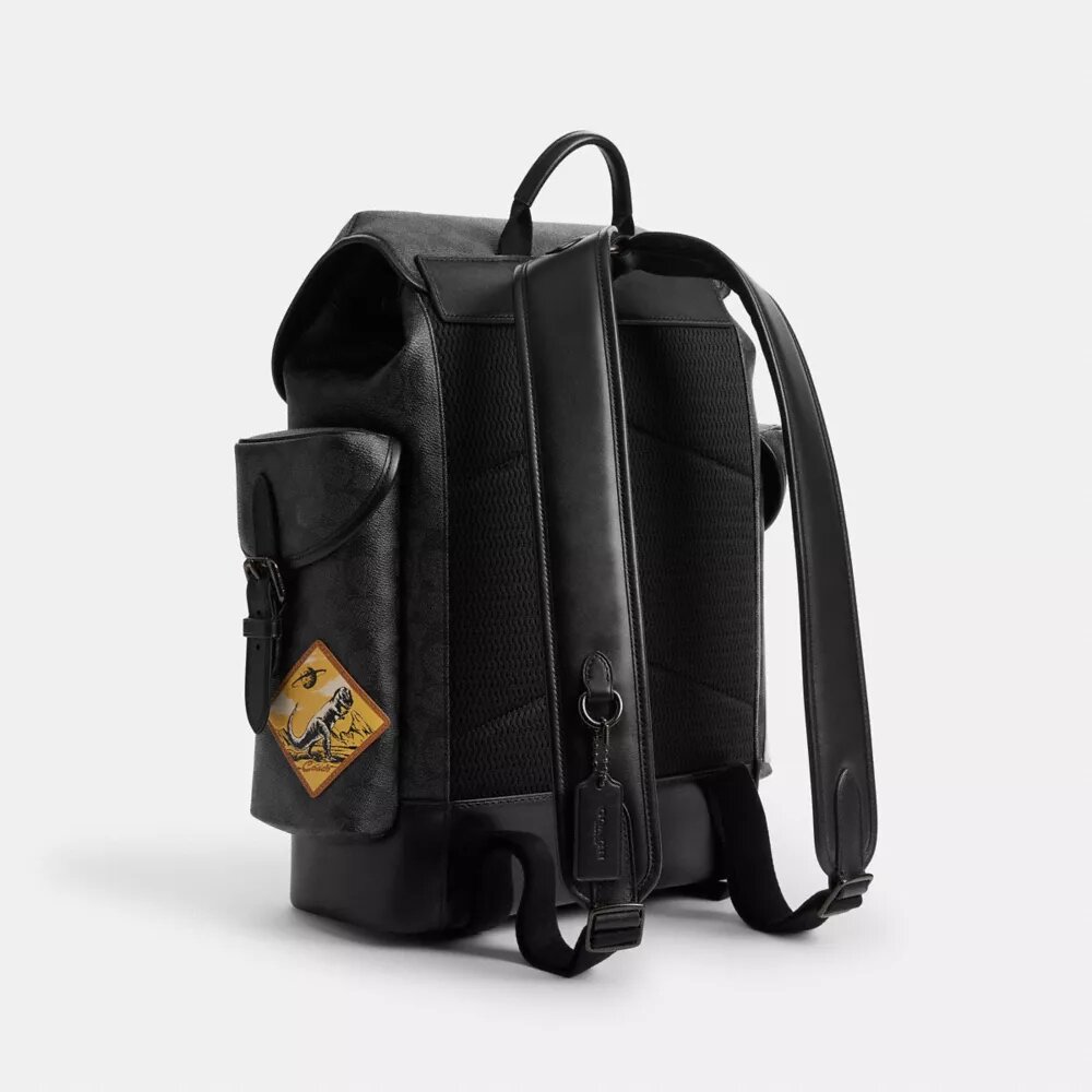 Plecak Hitch z Signature Canvas z naszywkami
