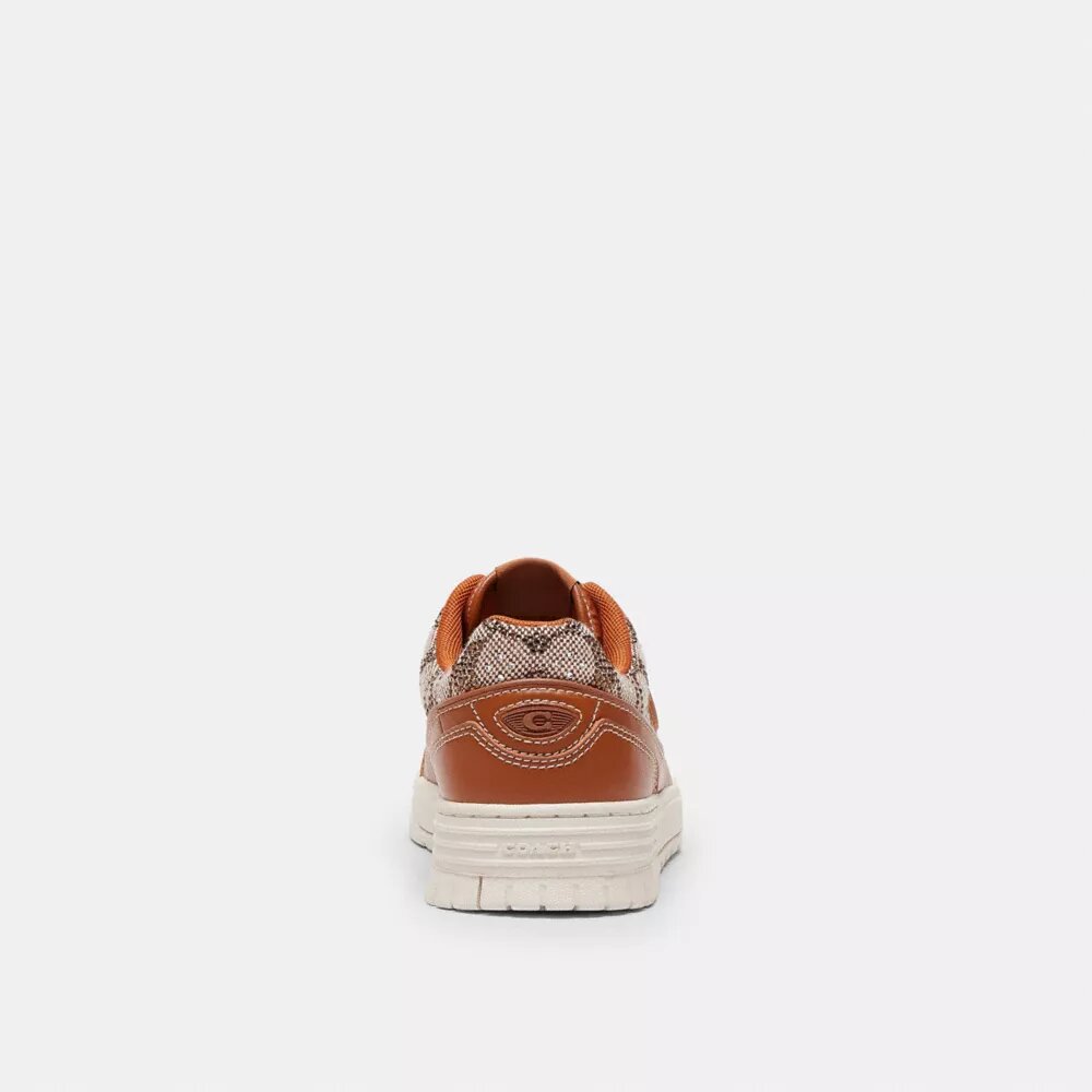 Sneakersy Soho z charakterystycznym żakardem Crystal