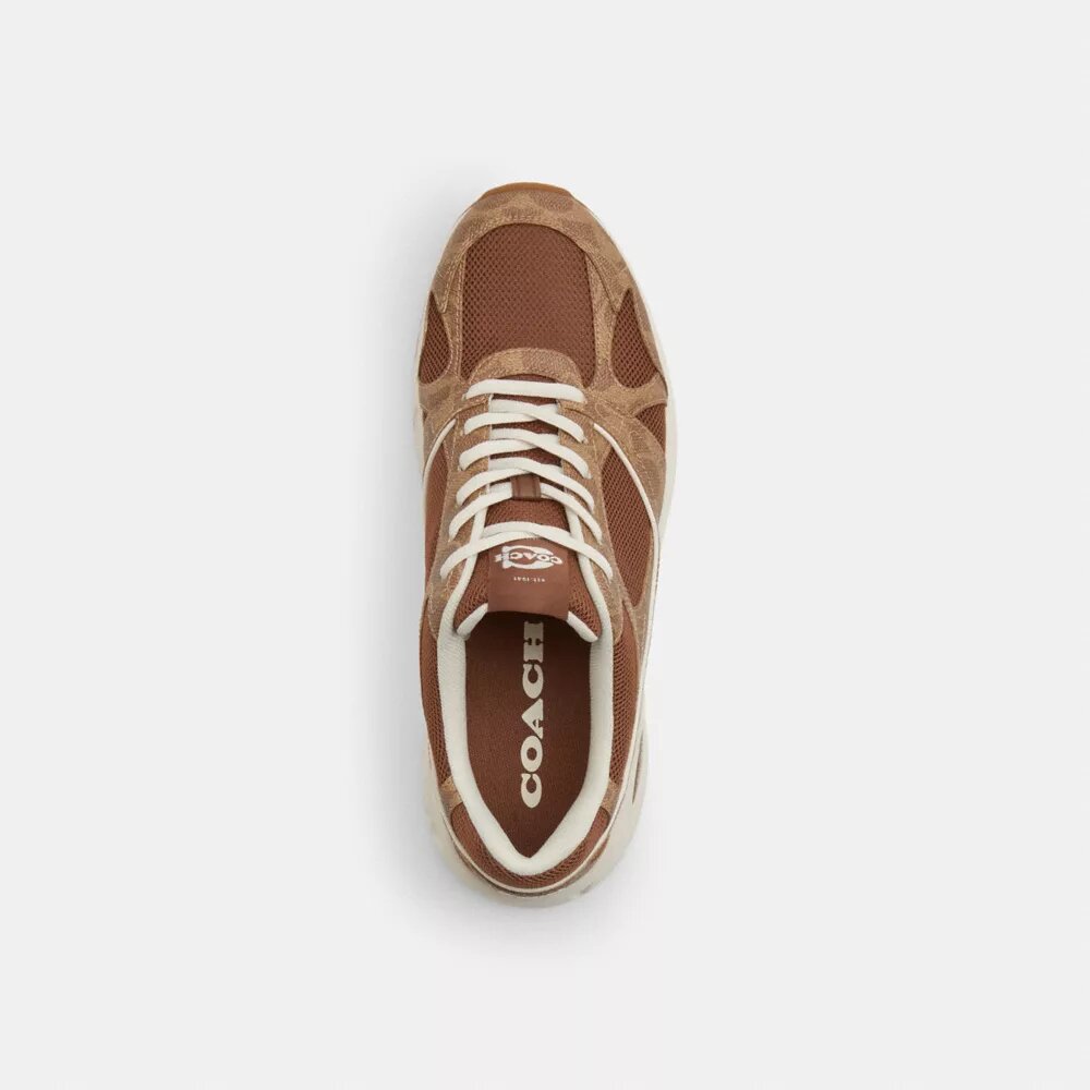 Sneakersy sportowe z Signature Canvas