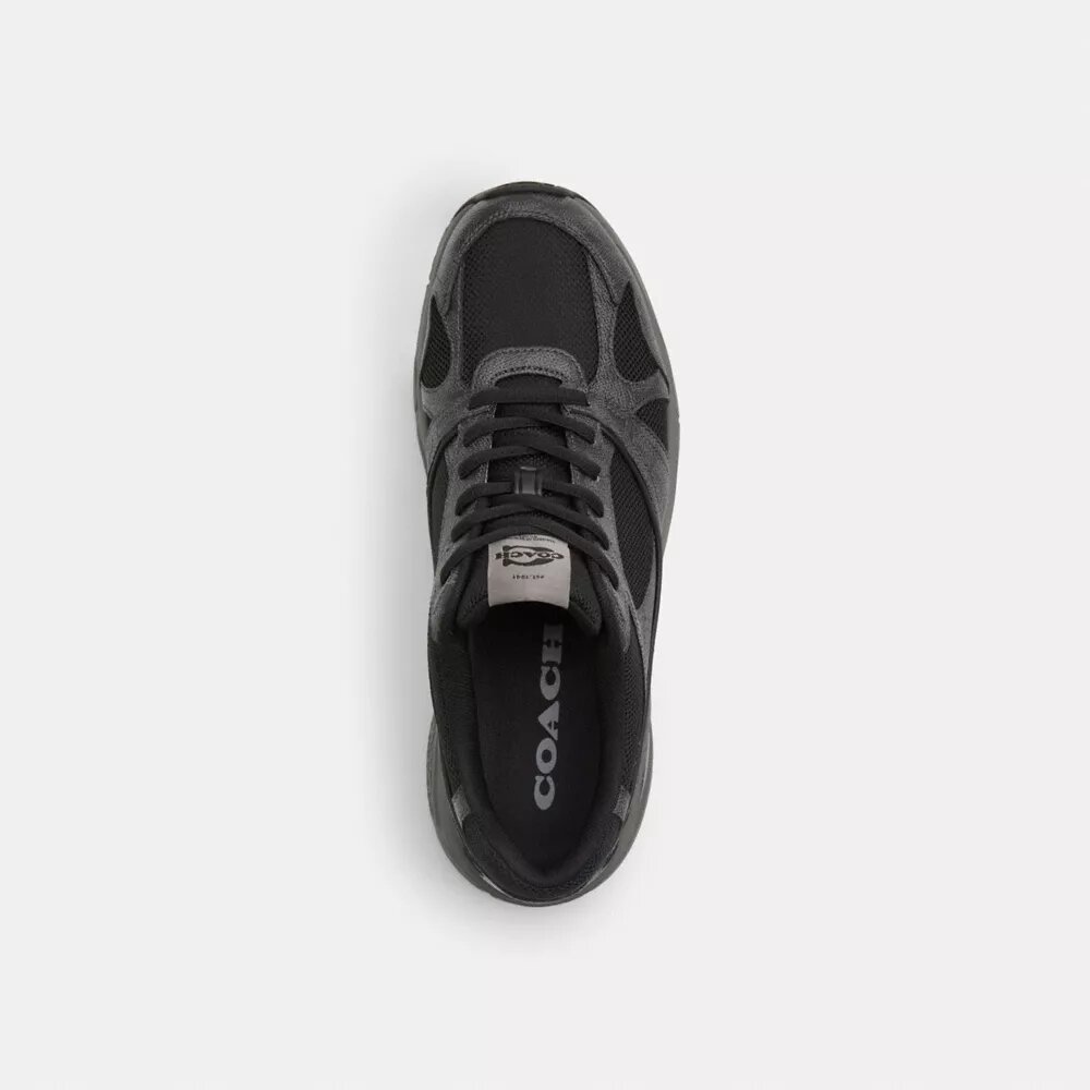 Sneakersy sportowe z Signature Canvas