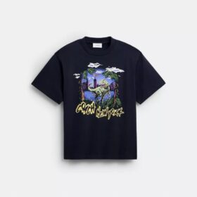 T-shirt Rexy „10th Birthday Jungle Relaxed” z bawełny organicznej