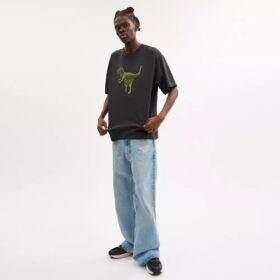T-shirt Rexy o luźnym kroju z bawełny organicznej