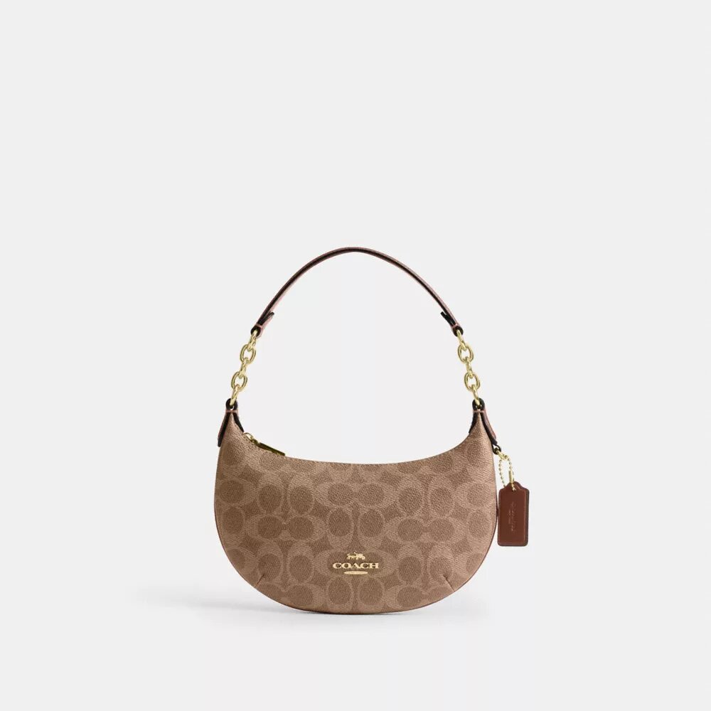 Torebka Mini Payton z Signature Canvas