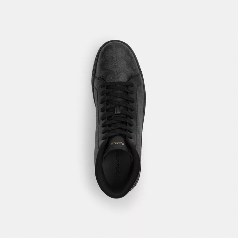 Wysokie sneakersy High Line z charakterystycznym Signature Canvas
