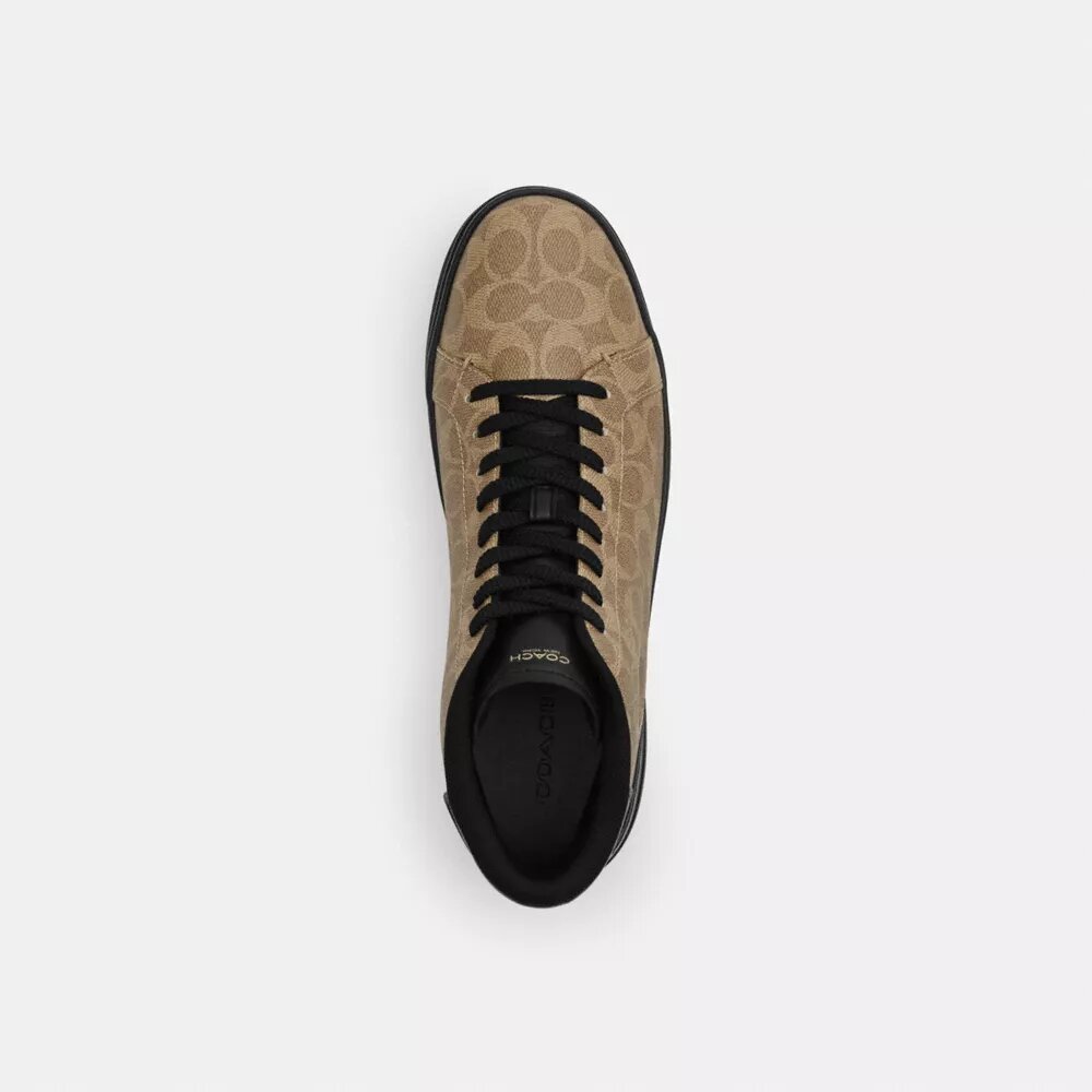Wysokie sneakersy High Line z Signature Canvas