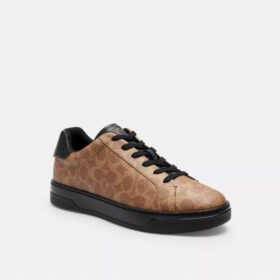 Wysokie sneakersy z Signature Canvas