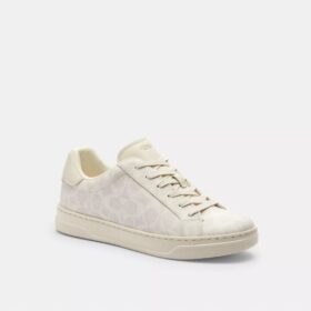 Wysokie sneakersy z Signature Canvas