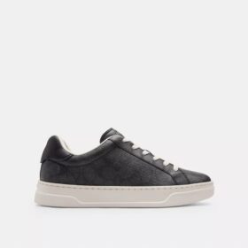 Wysokie sneakersy z Signature Canvas