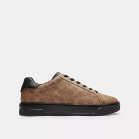 Wysokie sneakersy z Signature Canvas