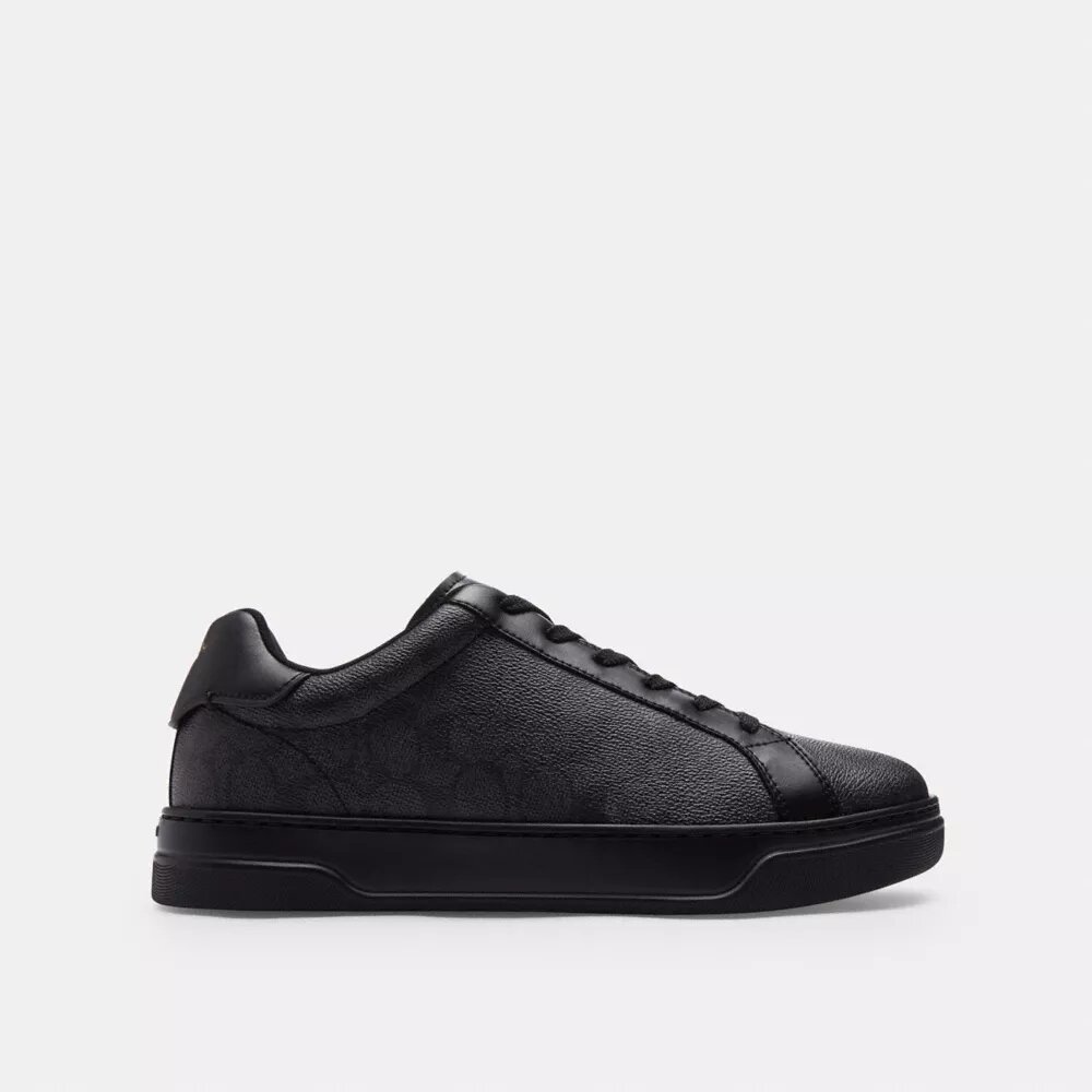 Wysokie sneakersy z Signature Canvas