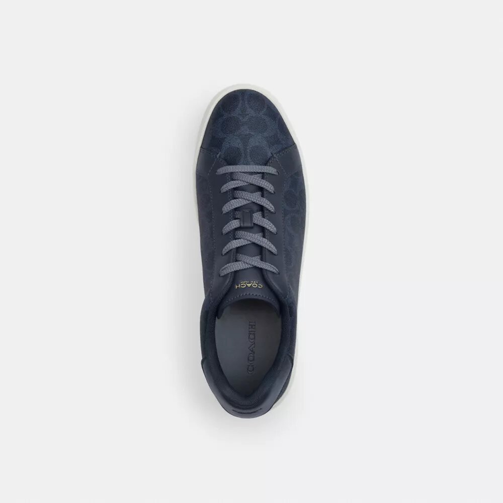 Wysokie sneakersy z Signature Canvas