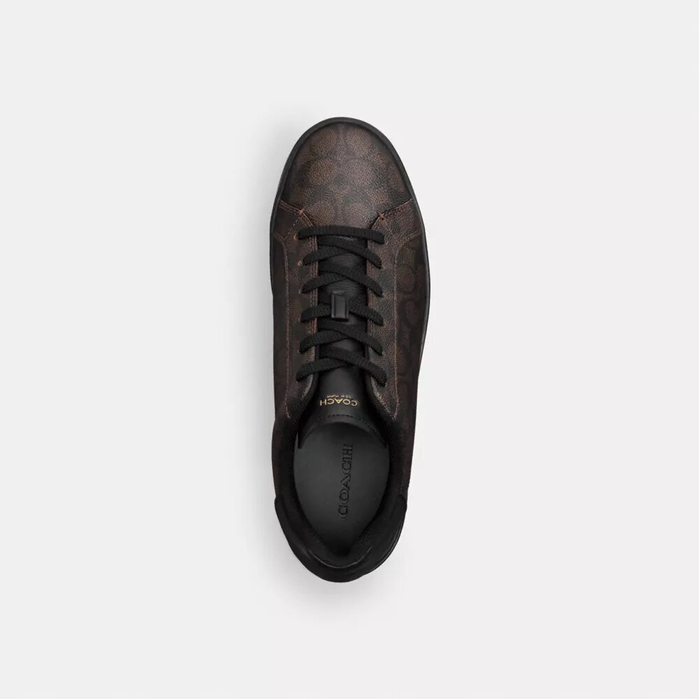 Wysokie sneakersy z Signature Canvas