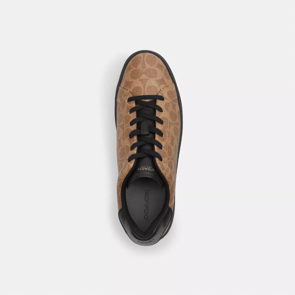 Wysokie sneakersy z Signature Canvas