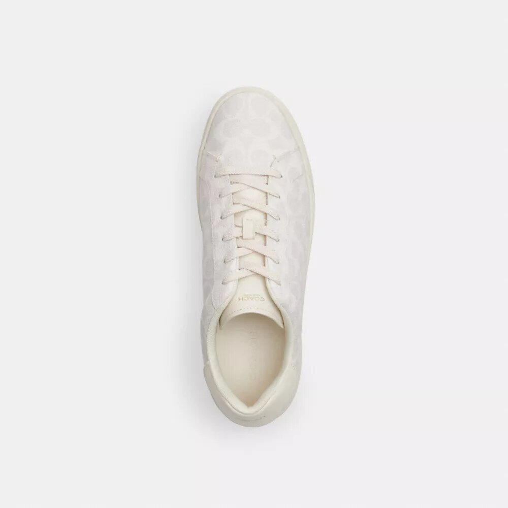 Wysokie sneakersy z Signature Canvas