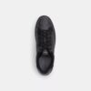 Wysokie sneakersy z Signature Canvas