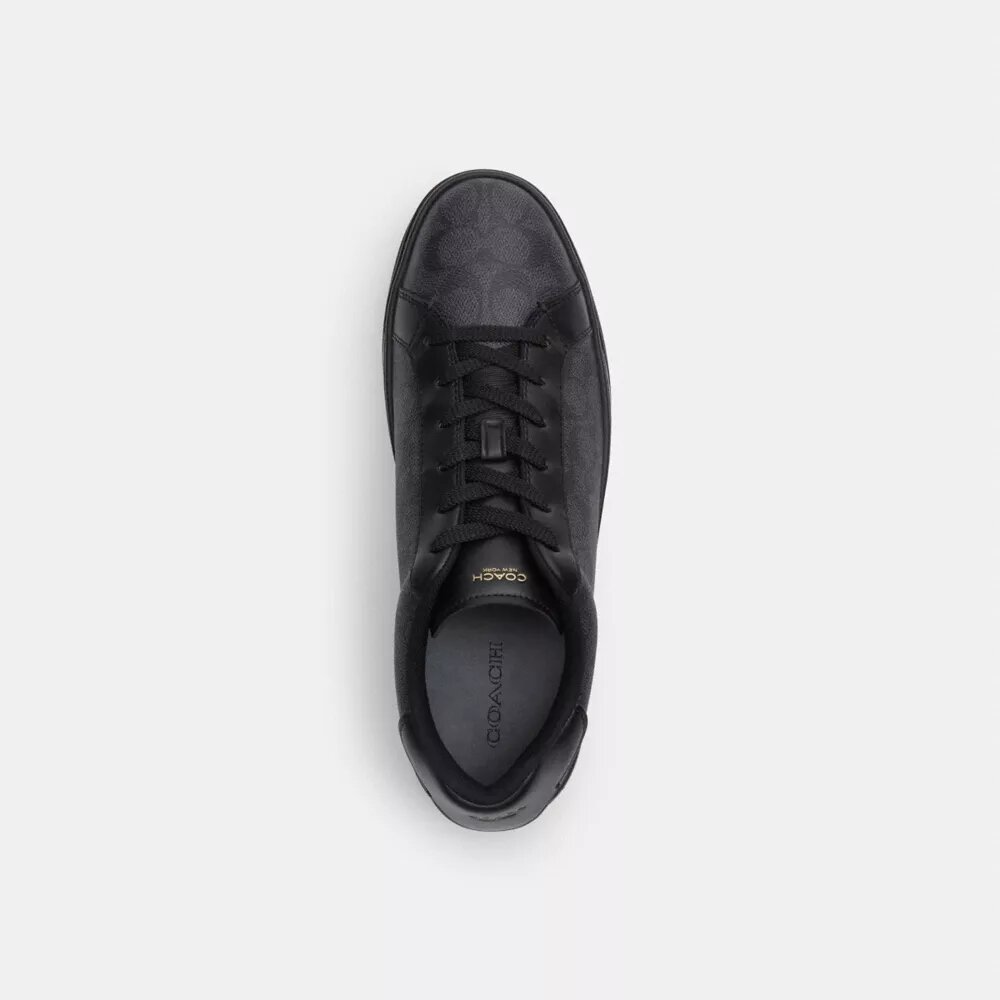 Wysokie sneakersy z Signature Canvas