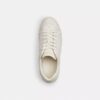 Wysokie sneakersy z Signature Canvas