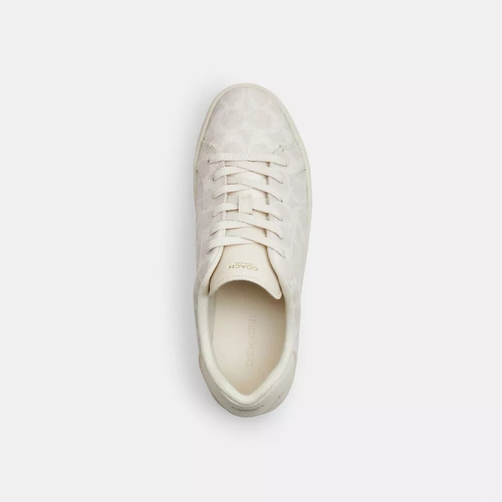 Wysokie sneakersy z Signature Canvas
