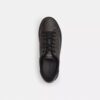 Wysokie sneakersy z Signature Canvas