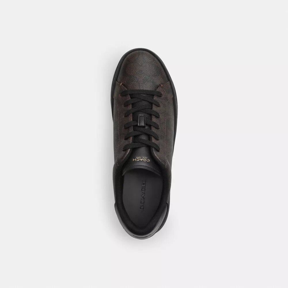 Wysokie sneakersy z Signature Canvas