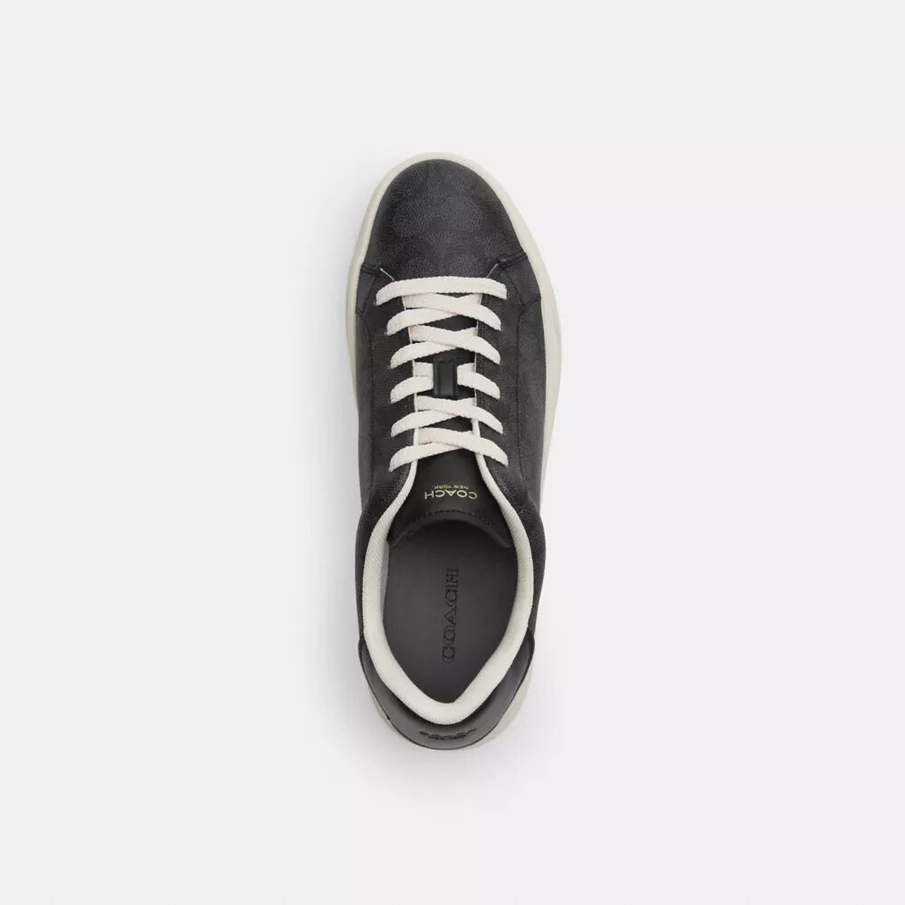Wysokie sneakersy z Signature Canvas