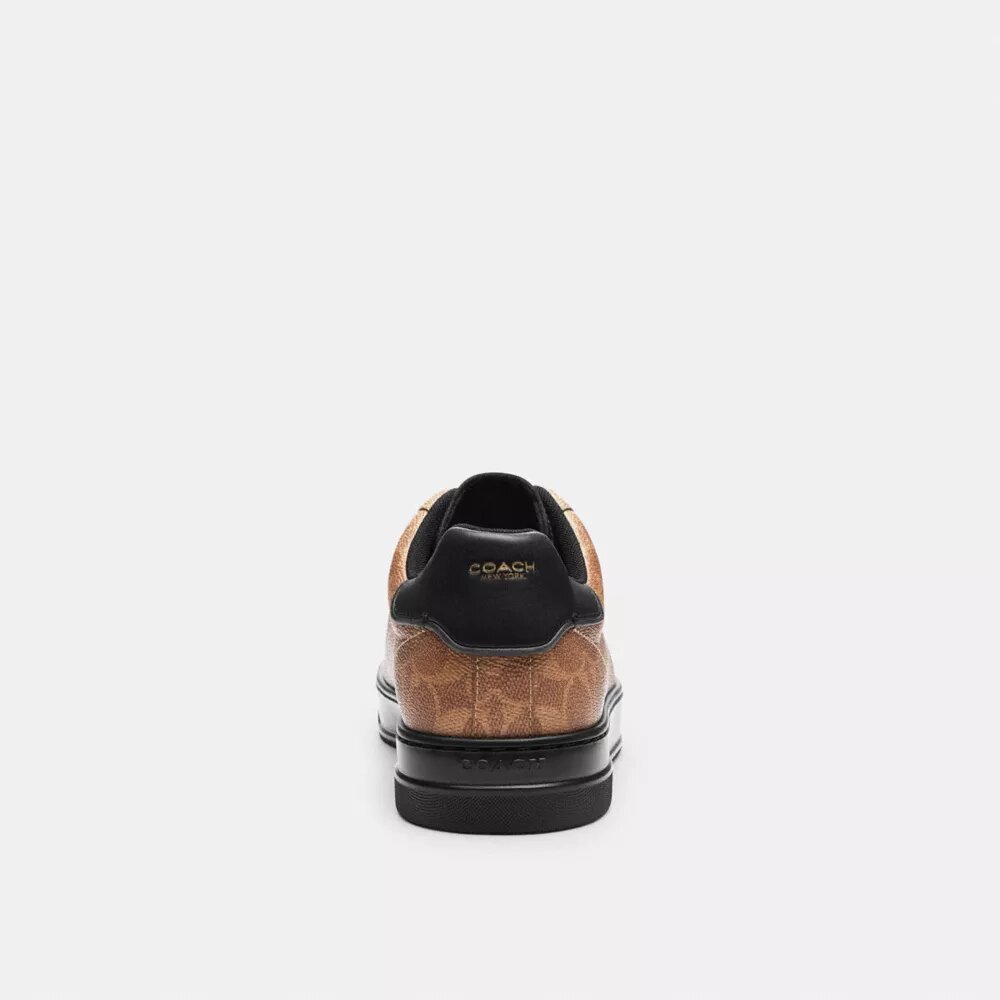Wysokie sneakersy z Signature Canvas
