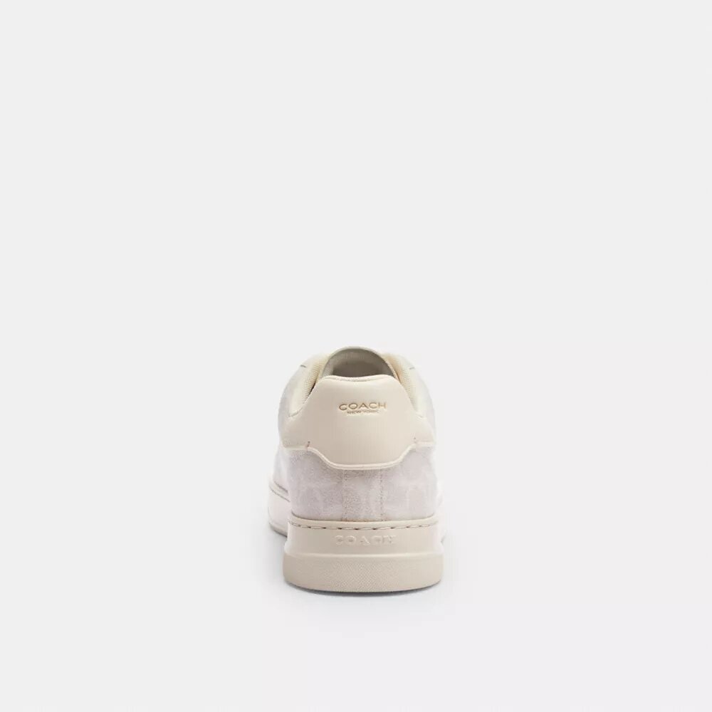 Wysokie sneakersy z Signature Canvas