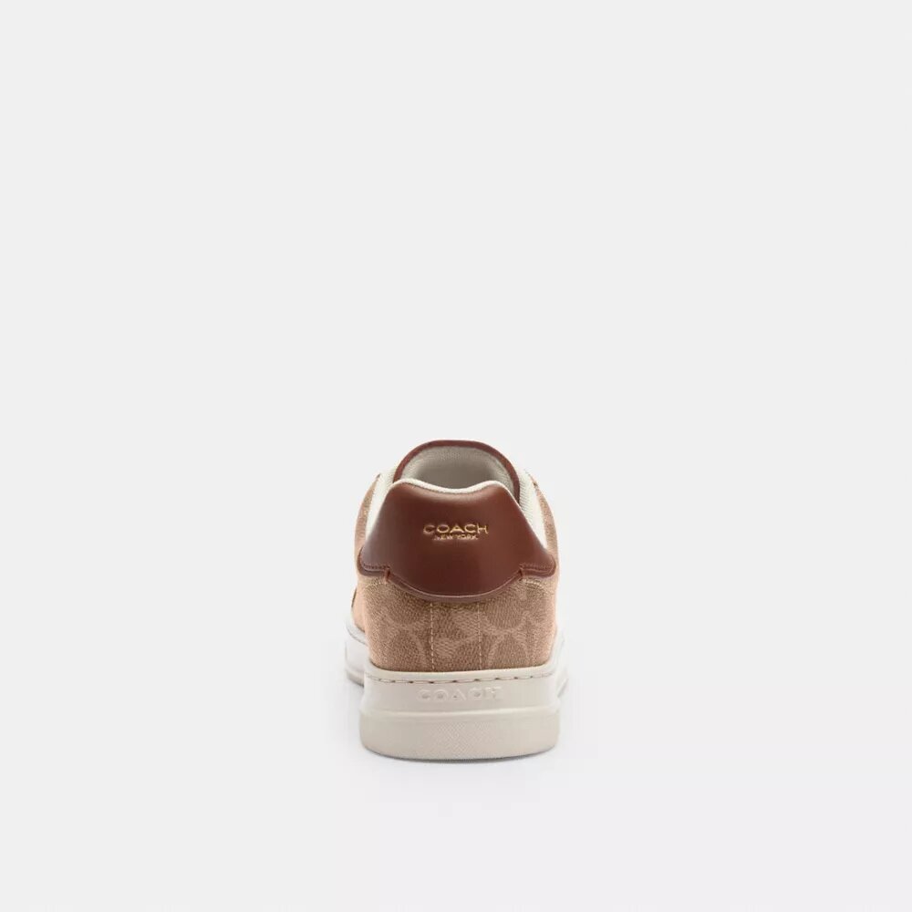 Wysokie sneakersy z Signature Canvas