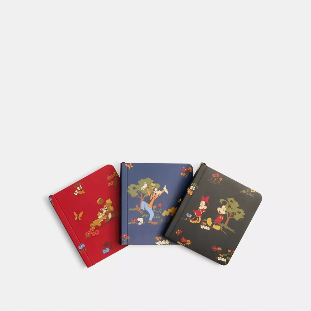 Zestaw mini notesów Disney X Coach z Myszką Miki i przyjaciółmi