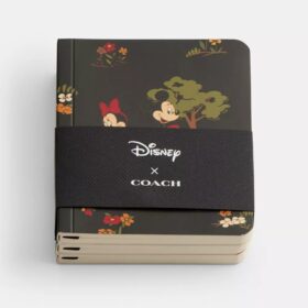 Zestaw mini notesów Disney X Coach z Myszką Miki i przyjaciółmi