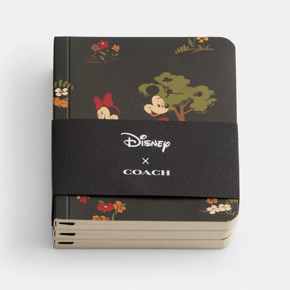Zestaw mini notesów Disney X Coach z Myszką Miki i przyjaciółmi